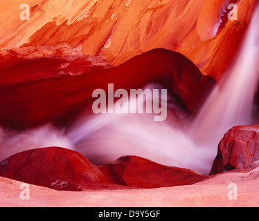 Geriffelt, schnitzen Coyote waschen schneiden durch Navajo Sandstein Coyote Gulch Escalante River Nebenfluss Glen Canyon National Stockfoto