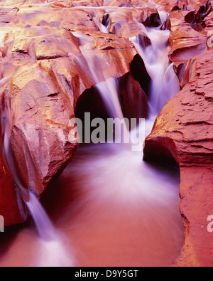 Geriffelt, schnitzen Coyote waschen schneiden durch Navajo Sandstein Coyote Gulch Escalante River Nebenfluss Glen Canyon National Stockfoto