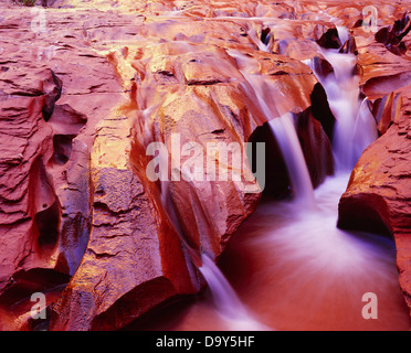 Geriffelt, schnitzen Coyote waschen schneiden durch Navajo Sandstein Coyote Gulch Escalante River Nebenfluss Glen Canyon National Stockfoto