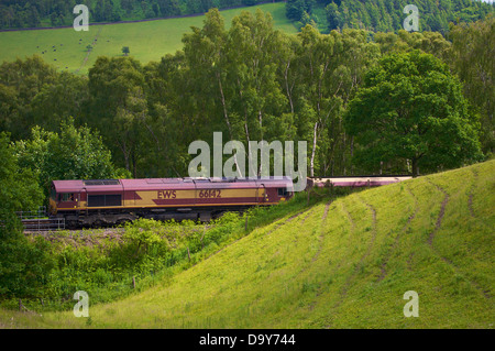 Sanfte Hügel mit Baum und EWS-Zug auf der Settle nach Carlisle Line, Eden Valley, Cumbria, England, UK Stockfoto