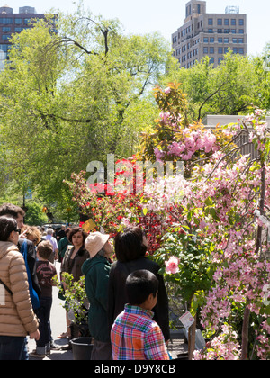 Shopper, Union Square Greenmarket, NYC Stockfoto