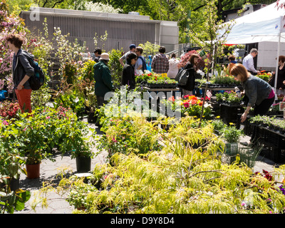 Shopper, Union Square Greenmarket, NYC Stockfoto