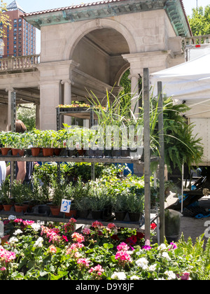 Union Square Greenmarket, NYC Stockfoto