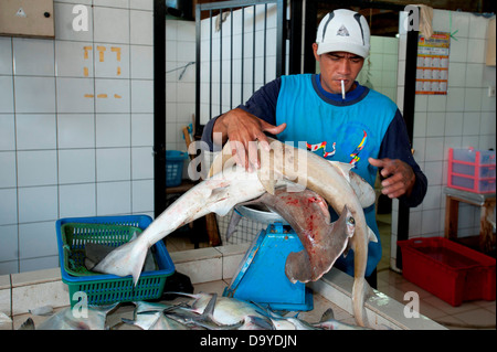 Mann mit einem Gewicht von Haien zu verkaufen, Brunei Stockfoto