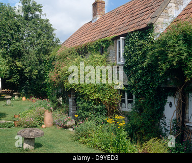 Üppige grüne wildem und überwucherten Kletterpflanzen an Wänden von Stein Landhaus mit Staddle Stein auf dem Rasen Stockfoto