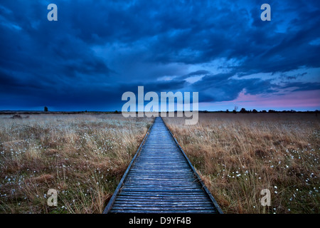 hölzerne Weg durch Sumpf bei Sturm bei Sonnenuntergang Stockfoto