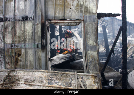 Ein Firefigher umrahmt von einem Fenster in ein Feuer brach Gebäude Stockfoto