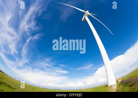Windmühle und Windkraft Stockfoto