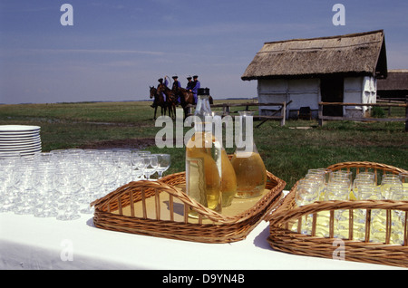 Flaschen mit lokalem Palinka-Obstbrand, serviert bei einem Catering-Event in einer ländlichen Siedlung in der riesigen ungarischen Ebene, genannt Puszta des Hortobagy-Nationalparks in der Nähe von Debrecen im Osten Ungarns Stockfoto