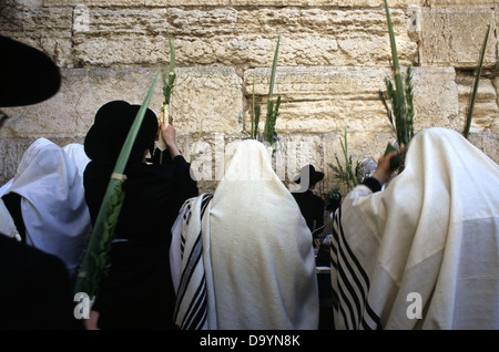 Orthodoxe Juden halten zeremonielle Palmwedel und Weiden auf dem Sukkot-fest der Tabernakel an der Westmauer oder Kotel in der Altstadt Ost-Jerusalems Stockfoto