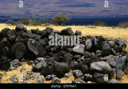 Haufen von vulkanischem Basalt Steinen am westlichen Ufer des See Genezareth, auch Kinneret, oder See Tiberias ein großer Süßwassersee im Norden Israels Stockfoto