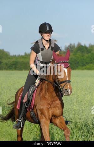 Junger Fahrer tragen einen Reithelm und einen Körperschutz während der Fahrt heraus auf Rückseite eines galoppierenden Pferdes Trakehnen Stockfoto