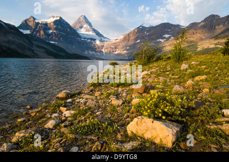 Sonnenaufgang am Mount Assiniboine im Mount Assiniboine Provincial Park, Canmore, Alberta, Kanada. Stockfoto