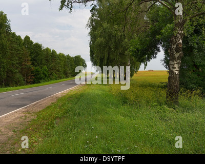 Feldweg in den frühen Morgenstunden Stockfoto