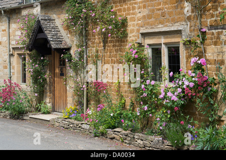 Rosen wachsen auf der Vorderseite eine Steinhütte Cotswold. Icomb, Cotswolds, Gloucestershire, England Stockfoto