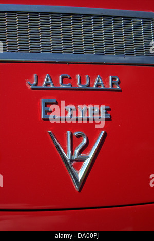 E-Type Jaguar V12-Abzeichen. Stockfoto