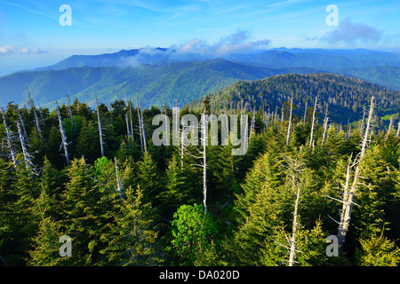 Blick von der Aussichtsplattform des Clingmans Kuppel in den Great Smoky Mountains. Stockfoto