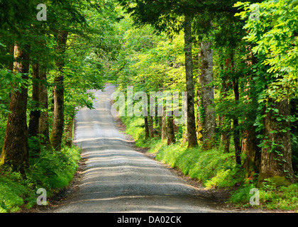 Funken Lane Cades Cove in The Great Smoky Mountain National Forest in der Nähe von Gatlinburg, Tennessee, USA. Stockfoto