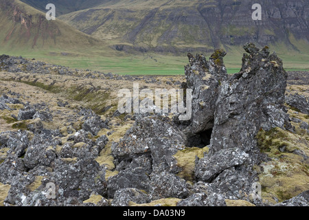 Lava Zinnen bedeckt mit langen Fransen-Moos (Racomitrium Elongatum) Island Europa Stockfoto