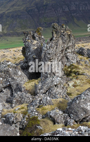 Lava Zinnen bedeckt mit langen Fransen-Moos (Racomitrium Elongatum) Island Europa Stockfoto