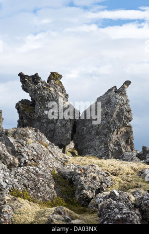 Lava Zinnen bedeckt mit langen Fransen-Moos (Racomitrium Elongatum) Island Europa Stockfoto