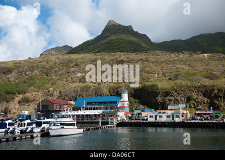 Hafen von Hout Bay, Kapstadt, Südafrika Stockfoto