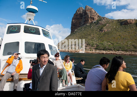 Seal Island Boot Reise, Hout Bay, Kapstadt, Südafrika Stockfoto