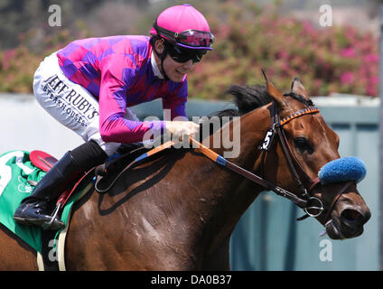 Inglewood, Kalifornien, USA. 29. Juni 2013. Natürlich mit Joe Talamo an Bord gewinnt die G1 '' zu gewinnen und Ihre gewinnen '' Schuster Meile Einsätze bei Betfair Hollywood Park in Inglewood, Kalifornien am 29. Juni 2013. © Zoe Metz/Eclipse-Sportswire/Eclipse/ZUMAPRESS.com/Alamy-Live-Nachrichten Stockfoto