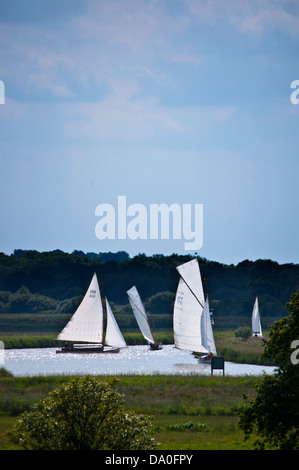 Landschaft-Segelboote Norfolk Broads drei-Flüsse-Rennen Stockfoto