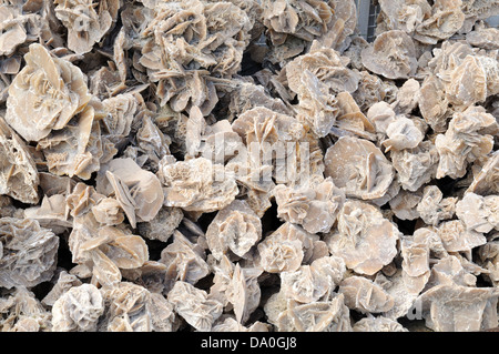 Desert rose Rosen oder Gips-Sandstein-Formationen Tunesien Stockfoto