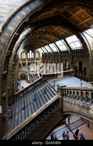 Natural History Museum in London Stockfoto