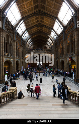 Natural History Museum in London Stockfoto