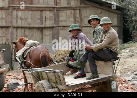 Vietnamesische Mann mit traditionellen Helm sitzen in der Pferdekutsche, Vietnam Stockfoto