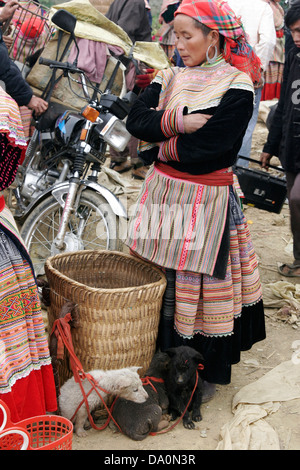 Flower Hmong Frau verkaufen Hunde auf dem Tier Markt in Bac Ha, Vietnam, Südostasien Stockfoto