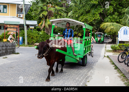 Ochsenkarren Taxi auf der Hauptstraße von La Passe, La Digue, Seychellen, Indischer Ozean, Afrika Stockfoto