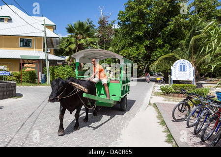 Ochsenkarren Taxi auf der Hauptstraße von La Passe, La Digue, Seychellen, Indischer Ozean, Afrika Stockfoto