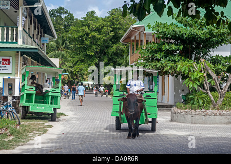 Ochsenkarren Taxi auf der Hauptstraße von La Passe, La Digue, Seychellen, Indischer Ozean, Afrika Stockfoto