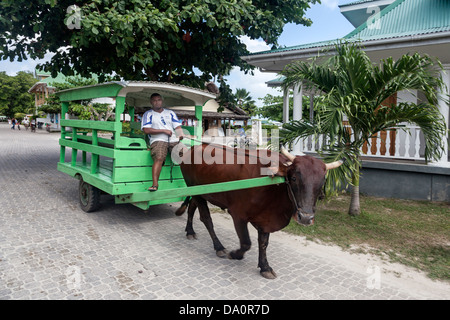 Ochsenkarren Taxi auf der Hauptstraße von La Passe, La Digue, Seychellen, Indischer Ozean, Afrika Stockfoto