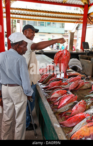 Victoria-Fischmarkt, Insel Mahe Seychellen Stockfoto