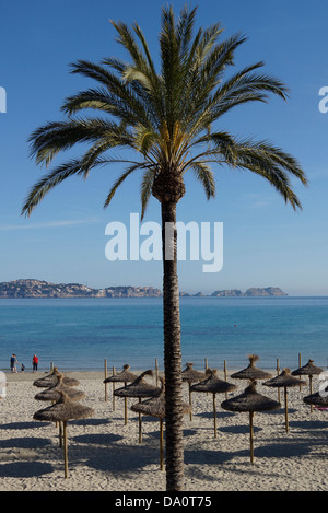 Strand von Peguera, Calvia, Mallorca, Spanien Stockfoto
