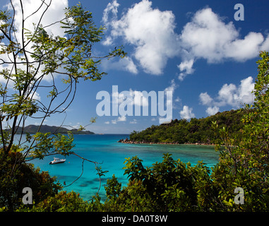 Petit Anse Cour, Praslin, Seychellen Stockfoto