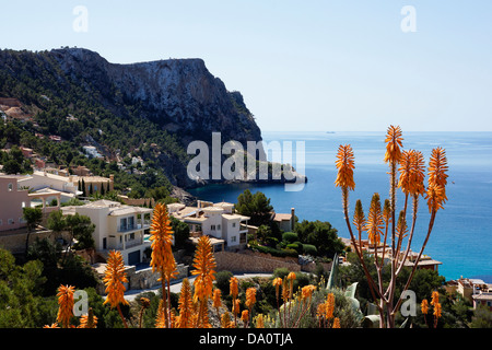 Camp de Mar, Andratx, Mallorca, Spanien Stockfoto