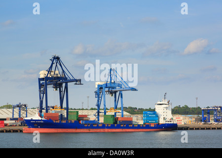 Gantry Kran- Containern auf einem Containerschiff für globalen Handel im Terminal im Hafen von Felixstowe, Suffolk, England, UK angedockt, Großbritannien Stockfoto
