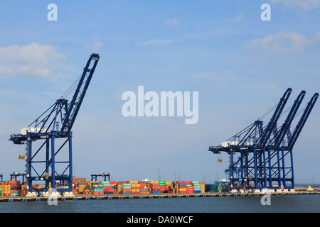 Gantry Kran zum heben von Containern auf dockside Terminal der größten Containerhafen in Großbritannien. Hafen von Felixstowe Suffolk England Großbritannien Großbritannien Stockfoto