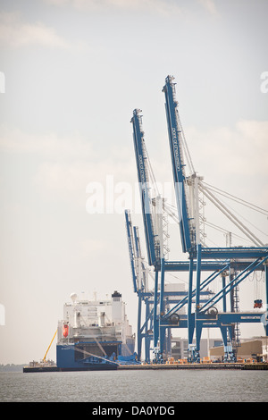 Frachtschiff lädt in den Hafen von Charleston in Charleston, SC Stockfoto