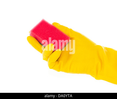 Hand im Gummihandschuh mit roten Reinigungsschwamm vor weißem Hintergrund Stockfoto