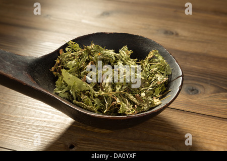 Alte hölzerne Löffel voller natürlicher Süßstoff, getrocknete stevia Stockfoto