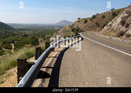 Orangenhainen entlang der California State Route 180, Osten Kings Canyon Road, Reedley, Kalifornien, USA. Stockfoto