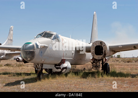 Lockheed P2V Neptun sitzt im Lagerbereich Hawkins und Befugnisse im Greybull, Wyoming. Stockfoto