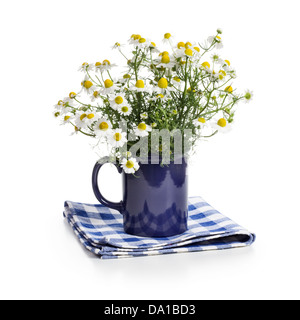 Blaue Schale mit frischen Kamillenblüten auf weißem Hintergrund Stockfoto